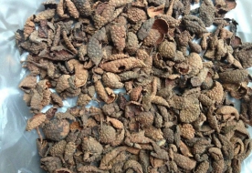 荔枝壳